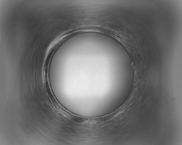 X0000079320294200611170937