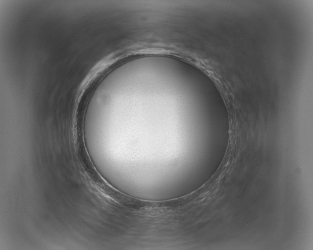 X0000079320296200611170937