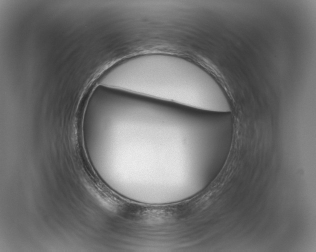 X0000079320298200611170937