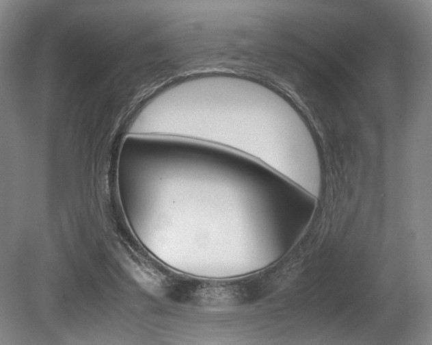 X0000079320299200611170937