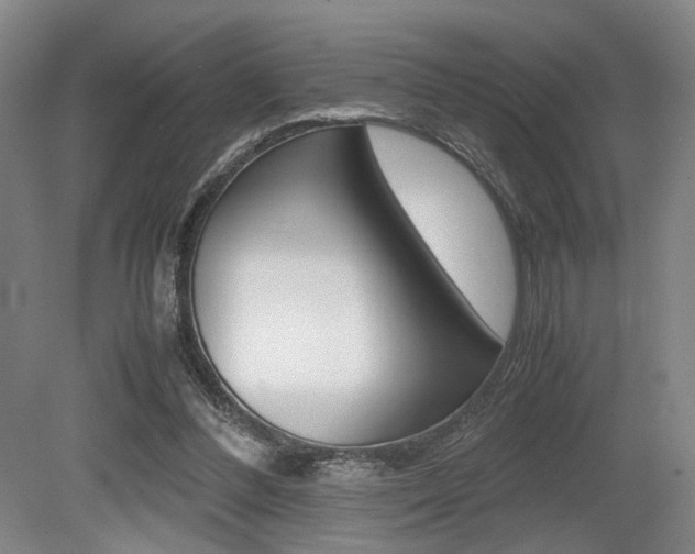 X0000079320300200611170937