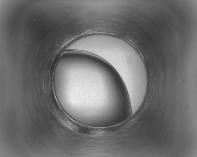 X0000079320301200611170937