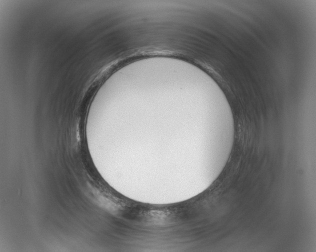 X0000079320302200611170937