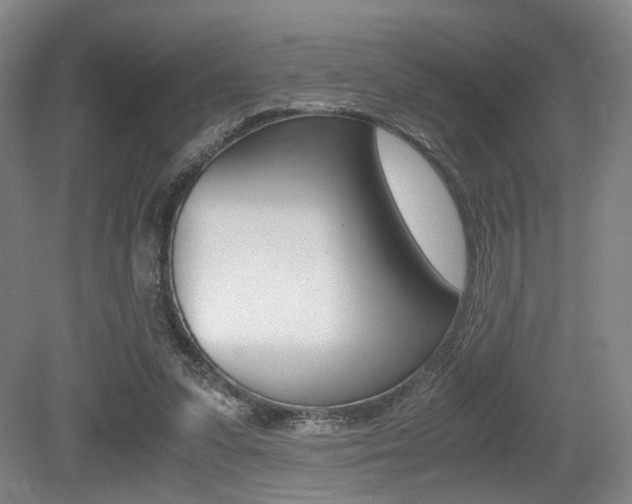 X0000079320303200611170937