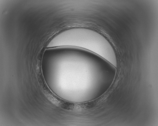 X0000079320305200611170937
