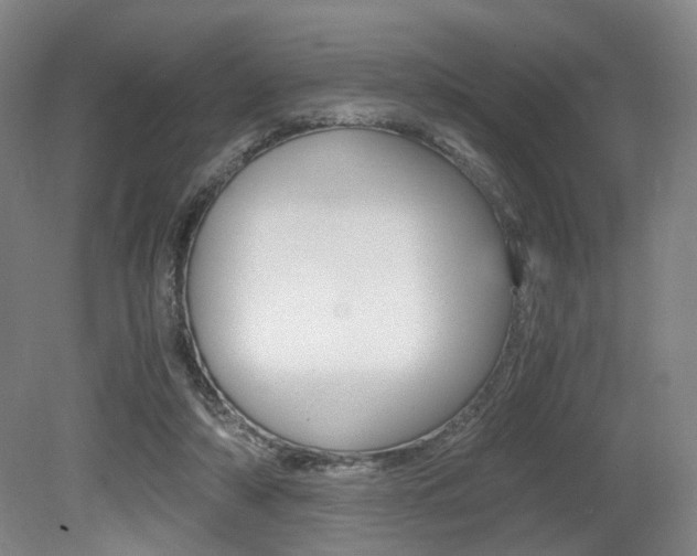 X0000079320306200611170937