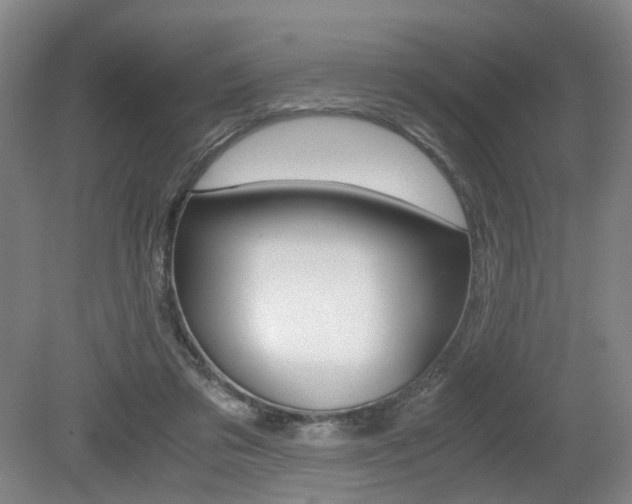 X0000079320309200611170937