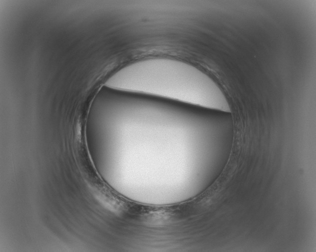 X0000079320310200611170937