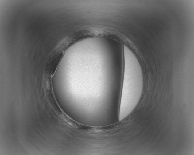 X0000079320313200611170937