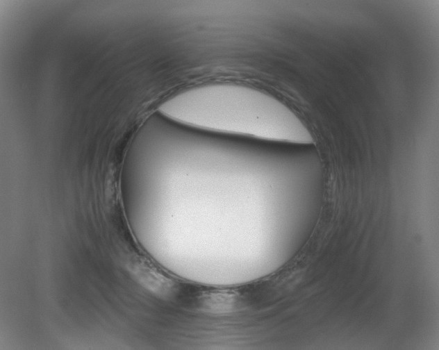 X0000079320318200611170937