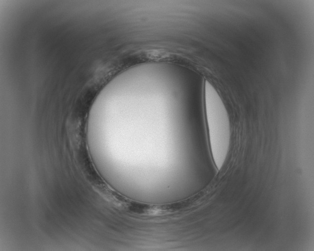 X0000079320319200611170937