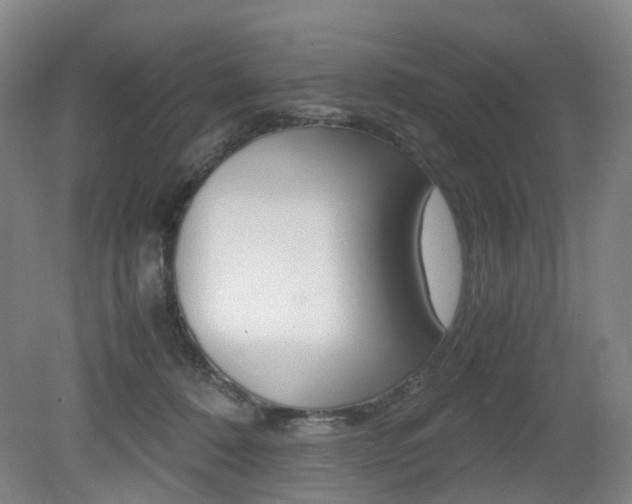 X0000079320320200611170937