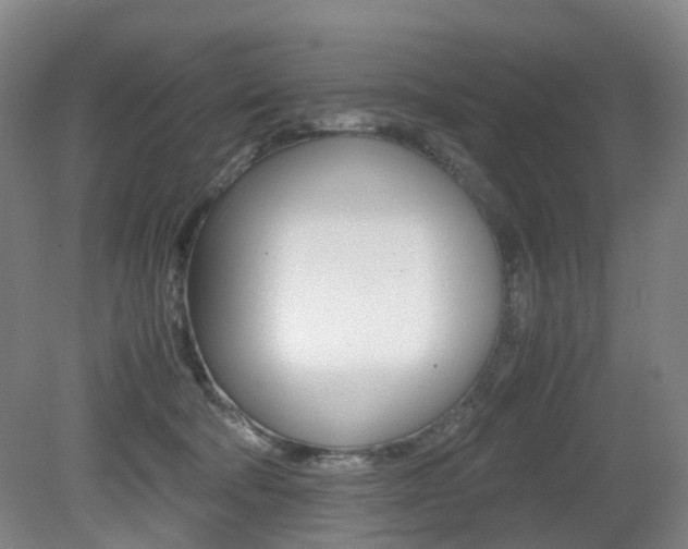 X0000079320322200611170937