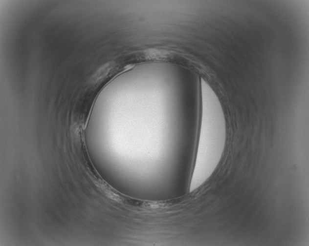 X0000079320329200611170937