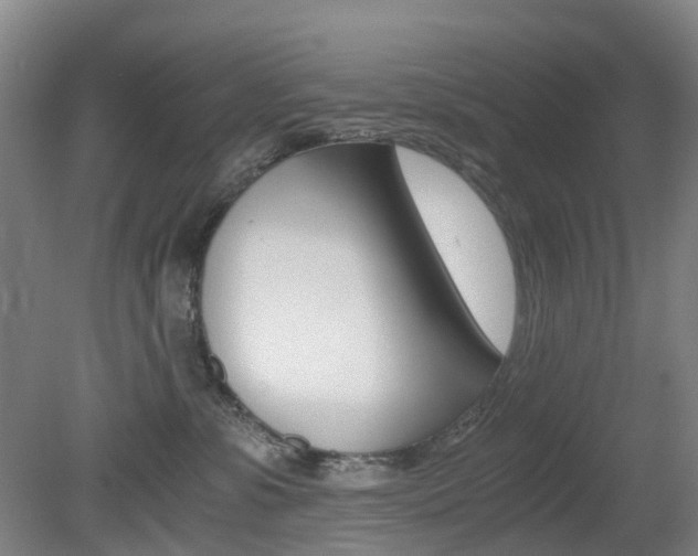 X0000079320331200611170937