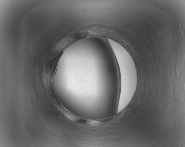 X0000079320333200611170937