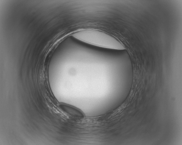 X0000079320338200611170936