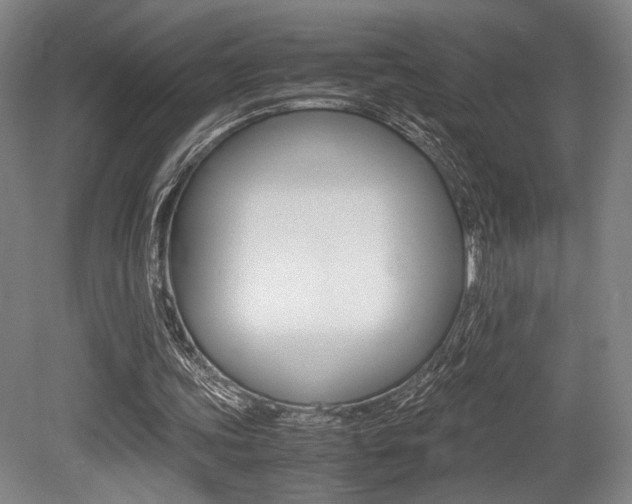 X0000079320339200611170936