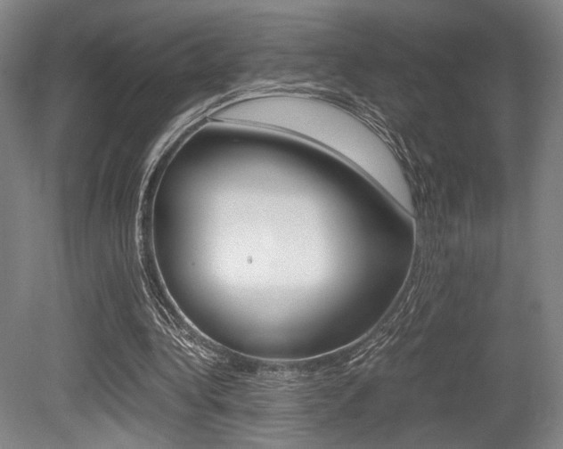 X0000079320340200611170936