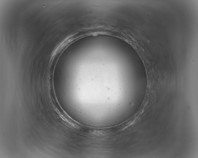 X0000079320341200611170936