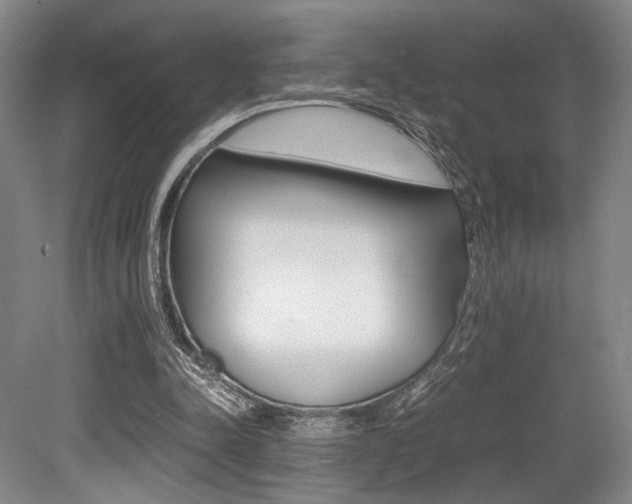 X0000079320342200611170936