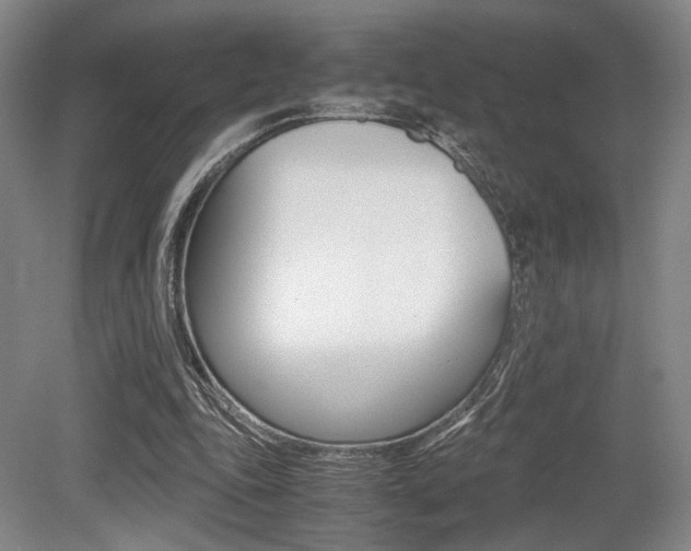 X0000079320343200611170936