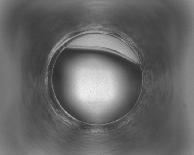 X0000079320344200611170936