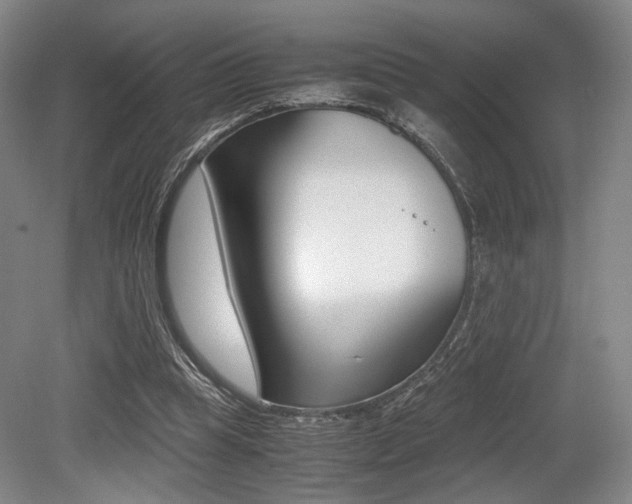 X0000079320345200611170936