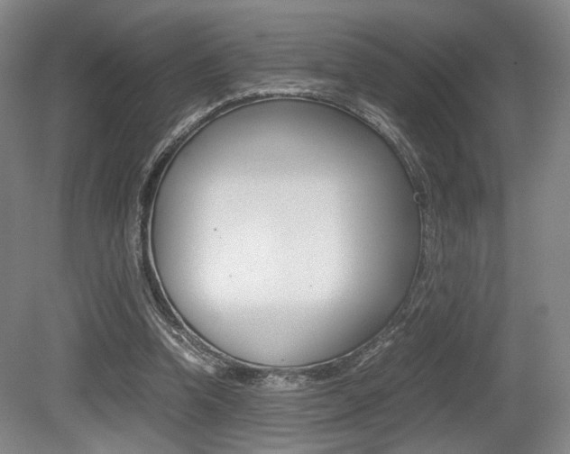 X0000079320346200611170936