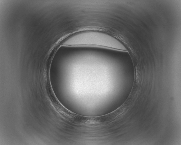 X0000079320348200611170936