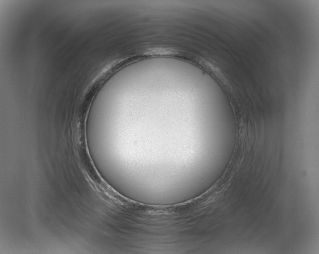 X0000079320351200611170936