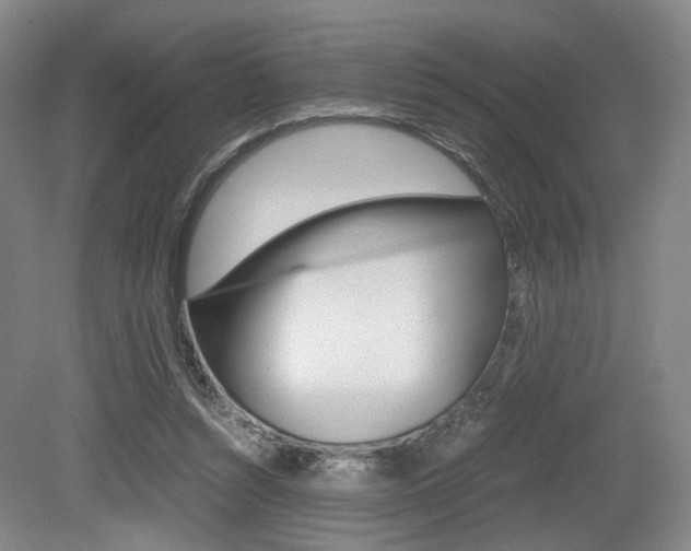 X0000079320352200611170936
