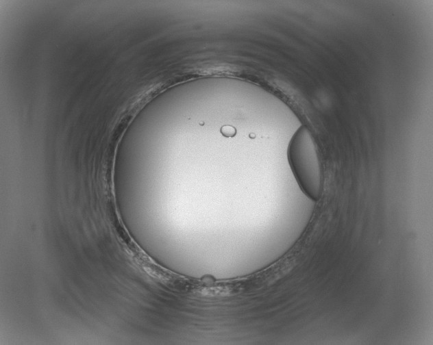 X0000079320353200611170936