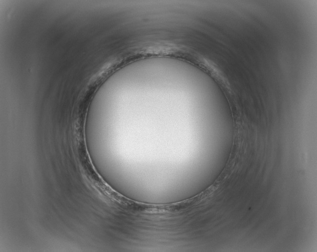 X0000079320354200611170936