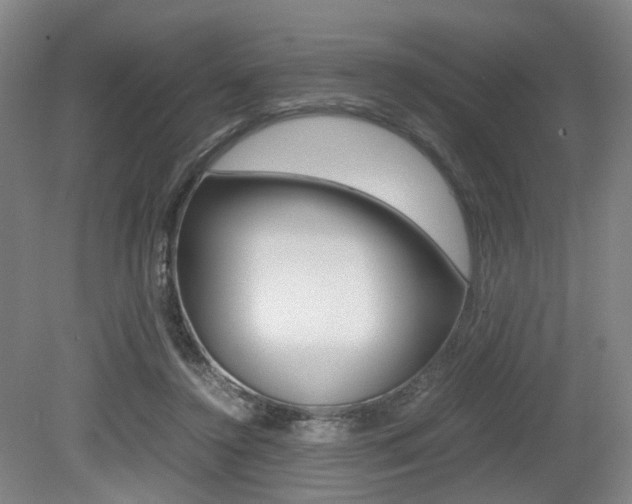 X0000079320356200611170936