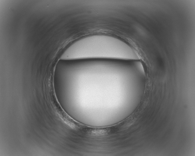 X0000079320357200611170936