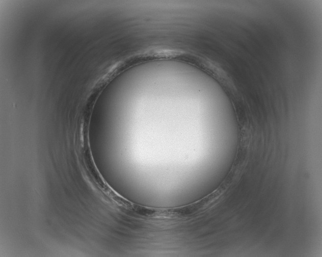 X0000079320358200611170936