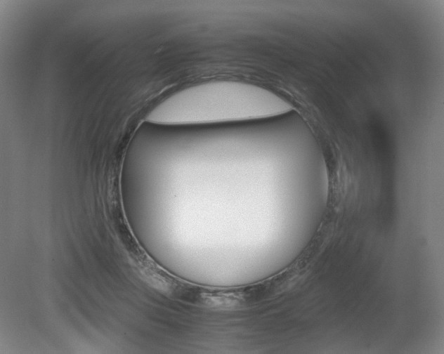 X0000079320359200611170936