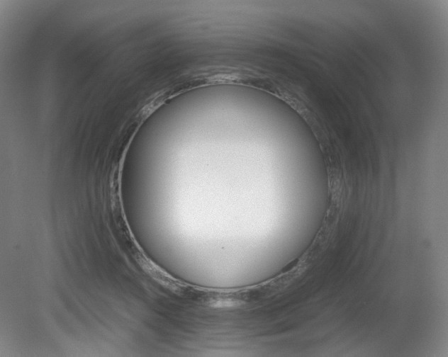 X0000079320360200611170936