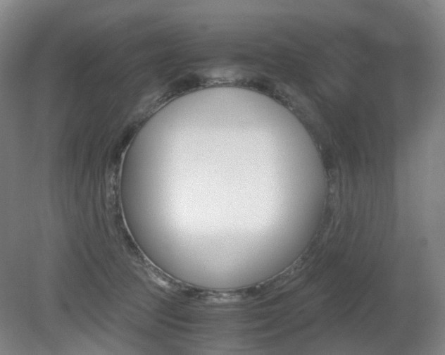X0000079320369200611170936