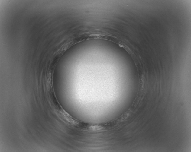 X0000079320376200611170937