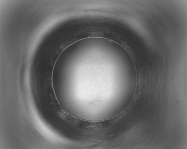 X0000079320383200611170937