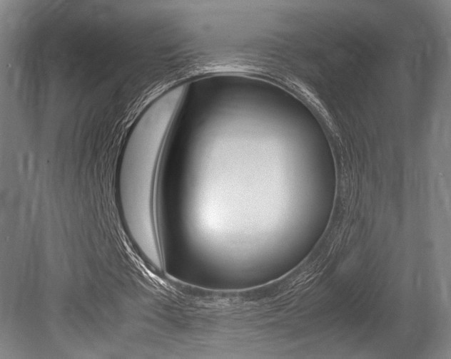 X0000079320385200611170936