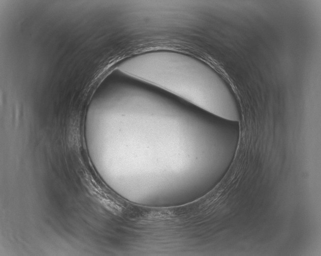 X0000079320386200611170936