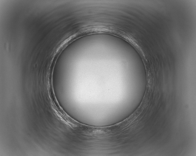 X0000079320390200611170936