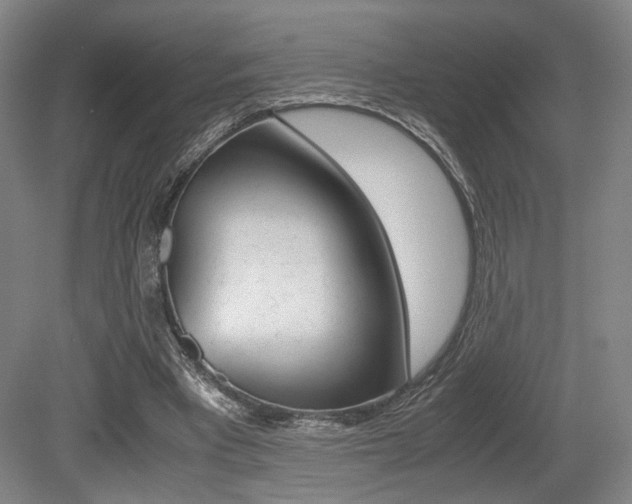 X0000079320393200611170936