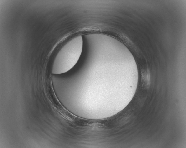 X0000079320396200611170936