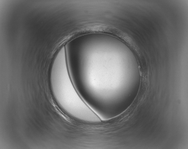 X0000079320397200611170936