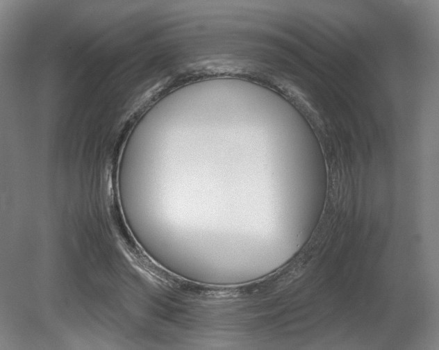 X0000079320398200611170936