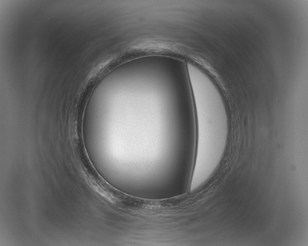 X0000079320399200611170936